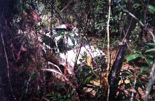 Image 4 of 12  -  44 kB